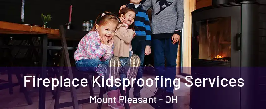 Fireplace Kidsproofing Services Mount Pleasant - OH