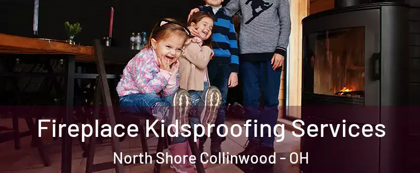 Fireplace Kidsproofing Services North Shore Collinwood - OH