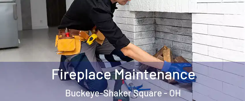 Fireplace Maintenance Buckeye-Shaker Square - OH