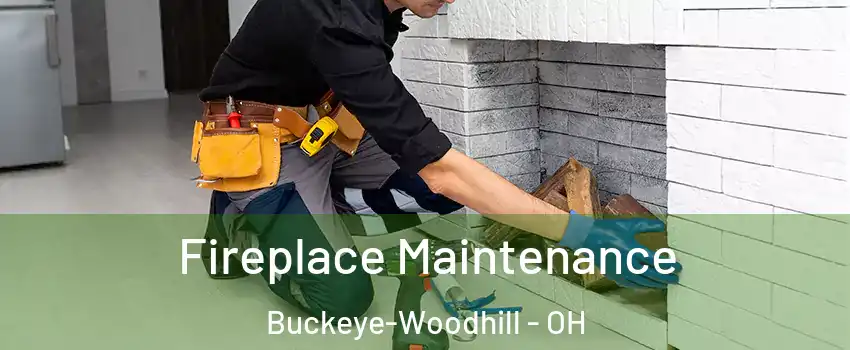 Fireplace Maintenance Buckeye-Woodhill - OH