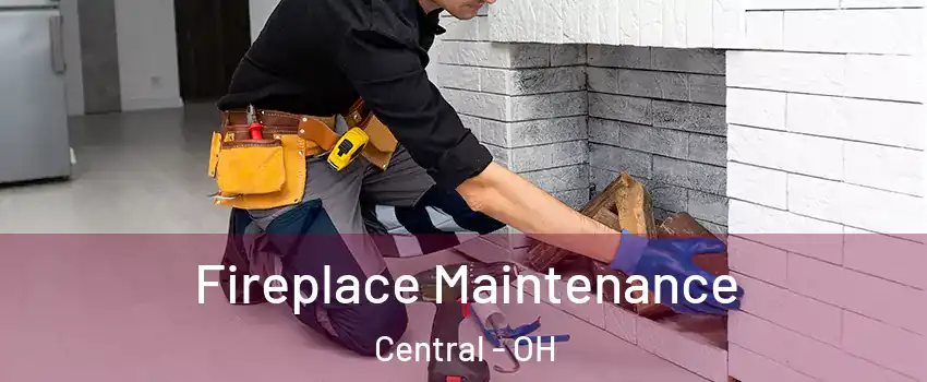 Fireplace Maintenance Central - OH