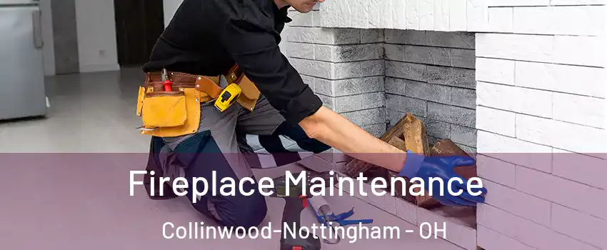 Fireplace Maintenance Collinwood-Nottingham - OH