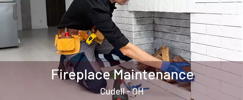 Fireplace Maintenance Cudell - OH