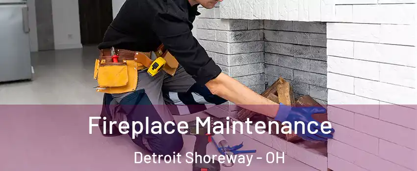Fireplace Maintenance Detroit Shoreway - OH