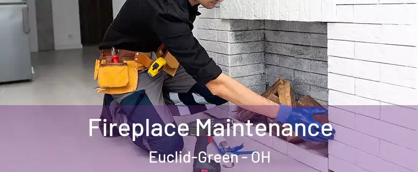 Fireplace Maintenance Euclid-Green - OH