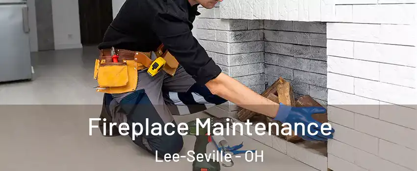 Fireplace Maintenance Lee-Seville - OH