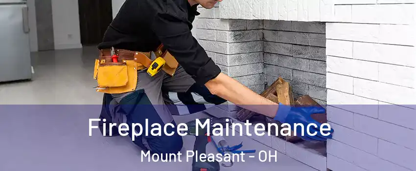 Fireplace Maintenance Mount Pleasant - OH