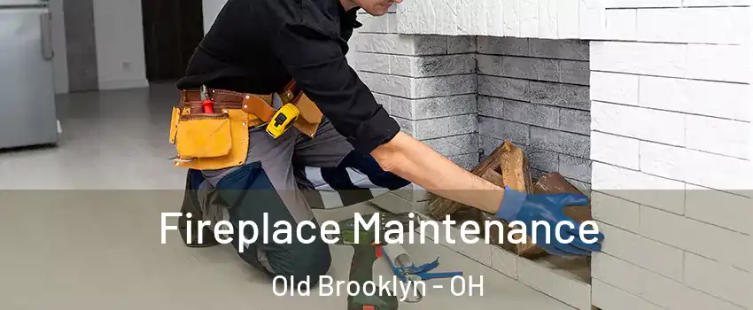 Fireplace Maintenance Old Brooklyn - OH