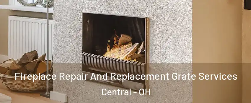 Fireplace Repair And Replacement Grate Services Central - OH