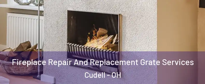 Fireplace Repair And Replacement Grate Services Cudell - OH