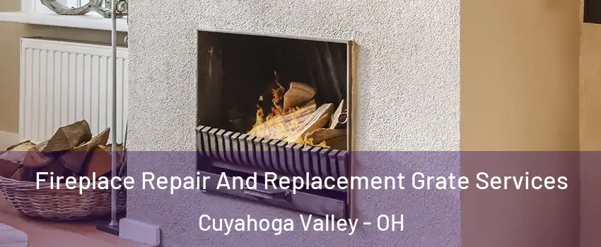 Fireplace Repair And Replacement Grate Services Cuyahoga Valley - OH