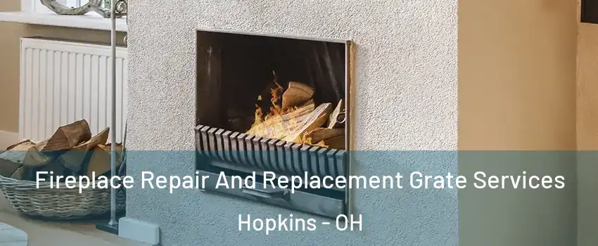 Fireplace Repair And Replacement Grate Services Hopkins - OH