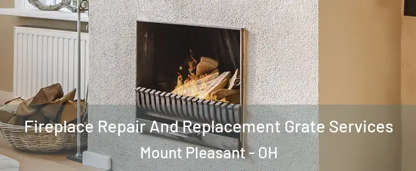Fireplace Repair And Replacement Grate Services Mount Pleasant - OH