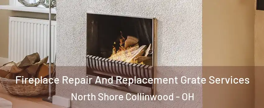 Fireplace Repair And Replacement Grate Services North Shore Collinwood - OH