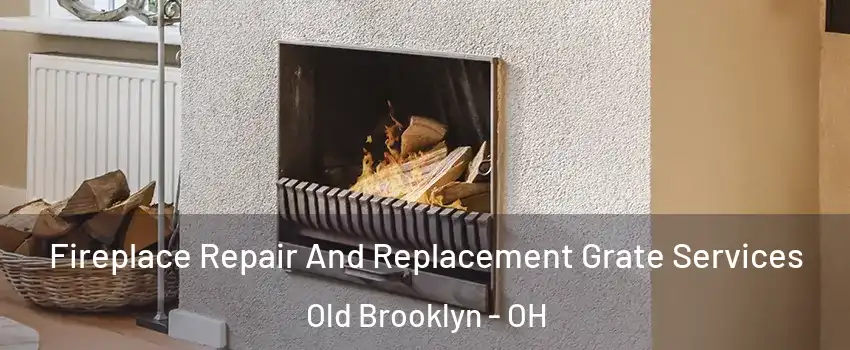 Fireplace Repair And Replacement Grate Services Old Brooklyn - OH