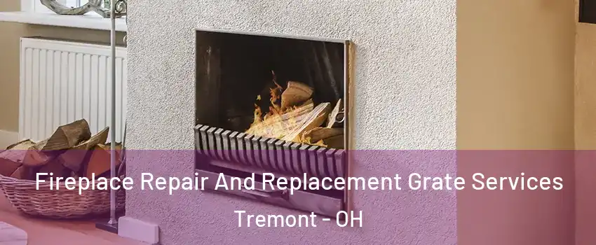 Fireplace Repair And Replacement Grate Services Tremont - OH