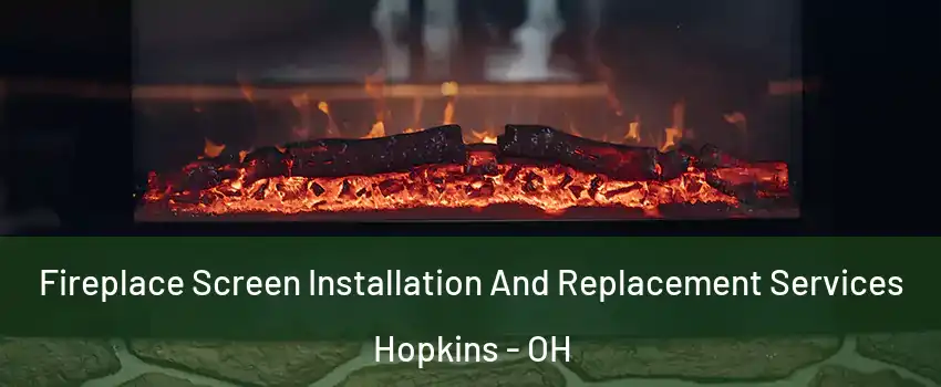 Fireplace Screen Installation And Replacement Services Hopkins - OH