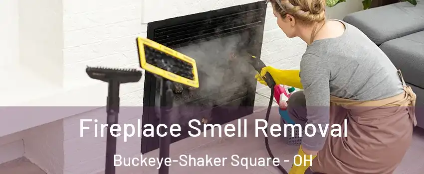 Fireplace Smell Removal Buckeye-Shaker Square - OH