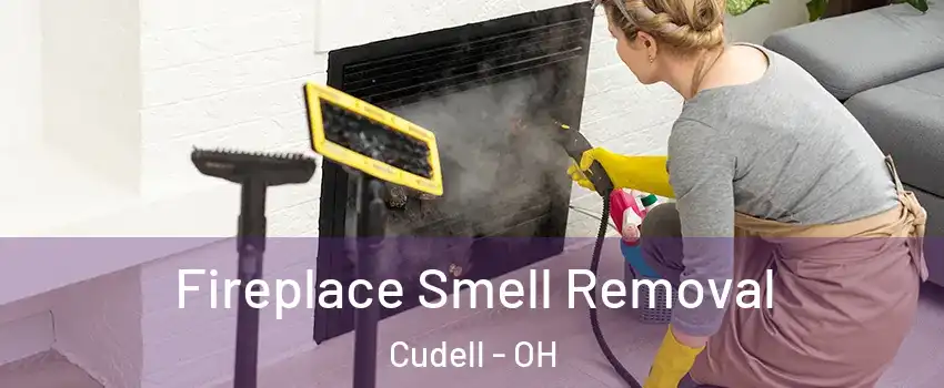 Fireplace Smell Removal Cudell - OH