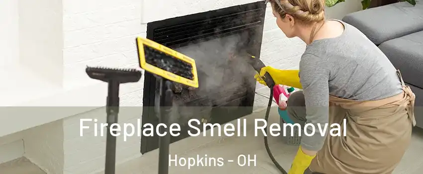 Fireplace Smell Removal Hopkins - OH