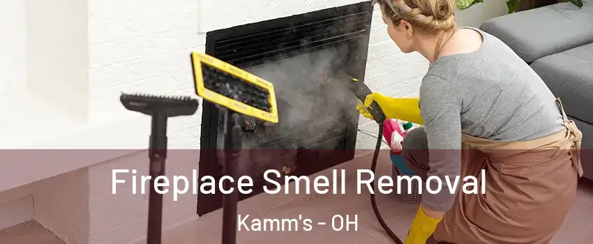 Fireplace Smell Removal Kamm's - OH