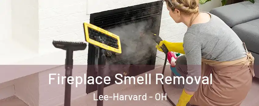 Fireplace Smell Removal Lee-Harvard - OH