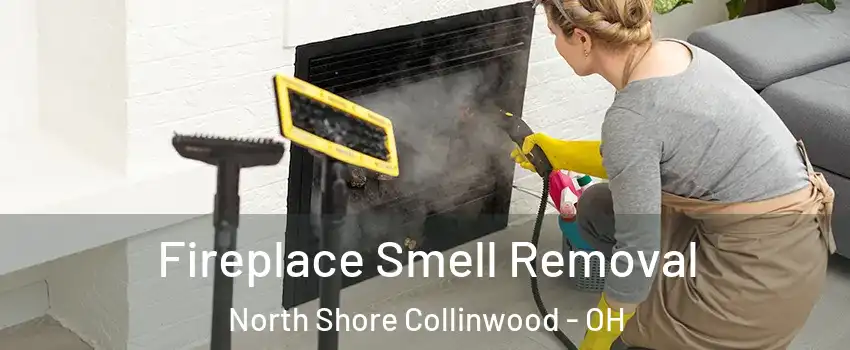 Fireplace Smell Removal North Shore Collinwood - OH