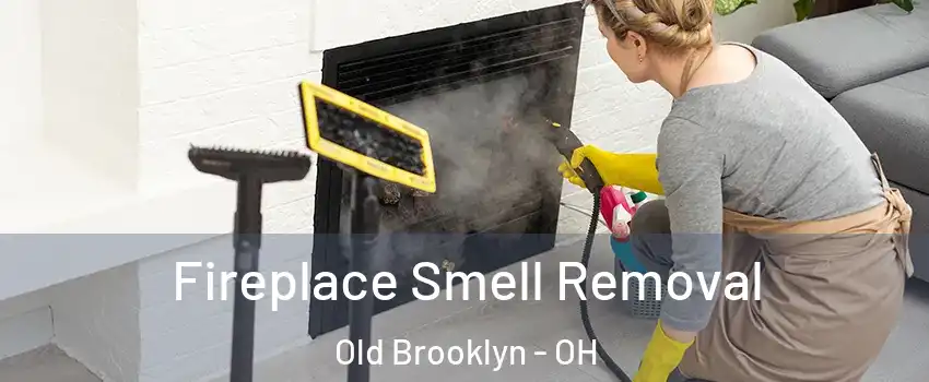 Fireplace Smell Removal Old Brooklyn - OH