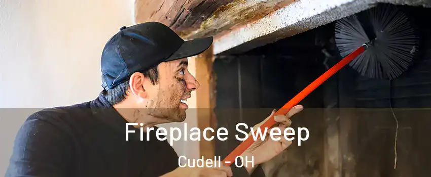Fireplace Sweep Cudell - OH