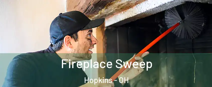 Fireplace Sweep Hopkins - OH