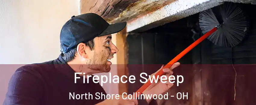 Fireplace Sweep North Shore Collinwood - OH