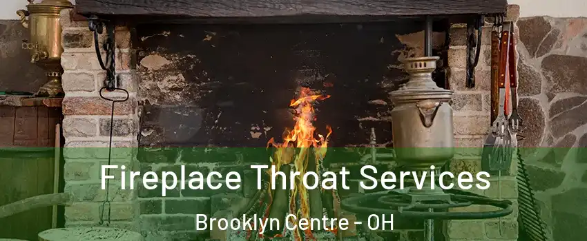 Fireplace Throat Services Brooklyn Centre - OH