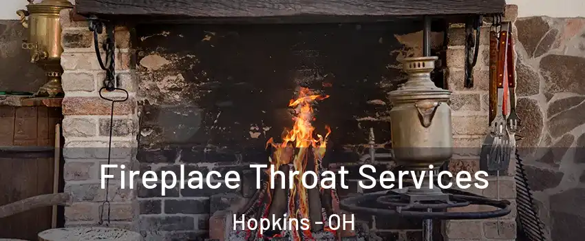 Fireplace Throat Services Hopkins - OH