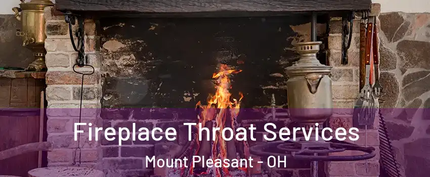 Fireplace Throat Services Mount Pleasant - OH