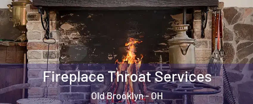 Fireplace Throat Services Old Brooklyn - OH