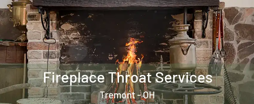 Fireplace Throat Services Tremont - OH