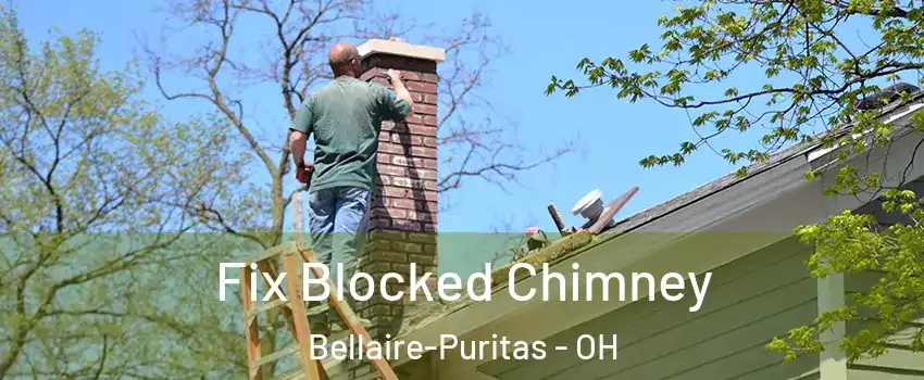 Fix Blocked Chimney Bellaire-Puritas - OH