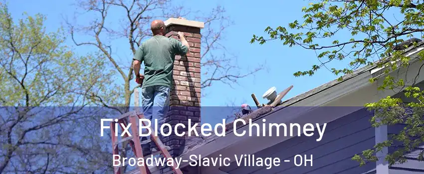 Fix Blocked Chimney Broadway-Slavic Village - OH