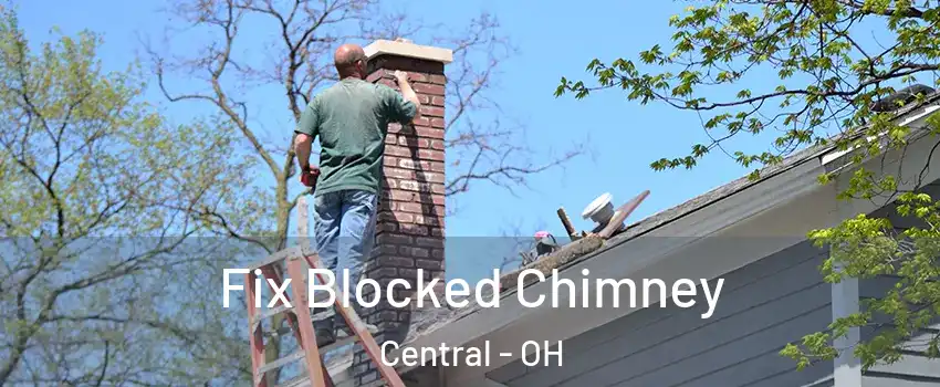 Fix Blocked Chimney Central - OH