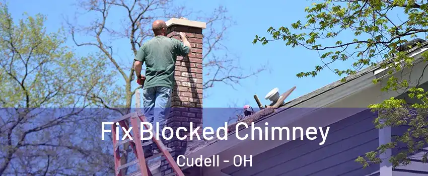Fix Blocked Chimney Cudell - OH