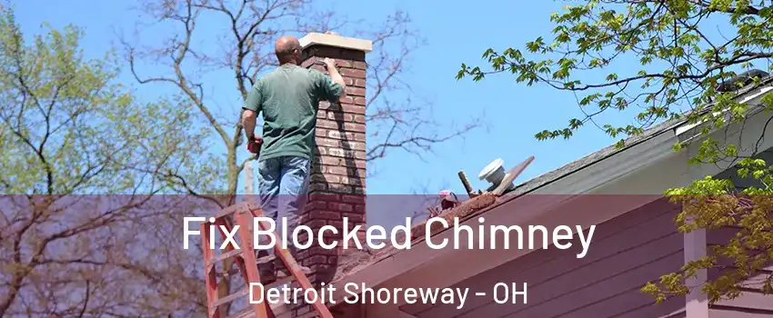 Fix Blocked Chimney Detroit Shoreway - OH