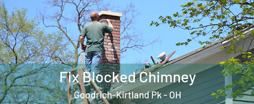 Fix Blocked Chimney Goodrich-Kirtland Pk - OH