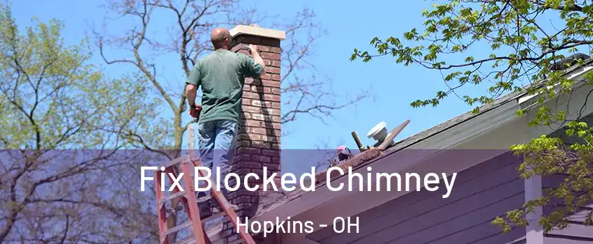 Fix Blocked Chimney Hopkins - OH