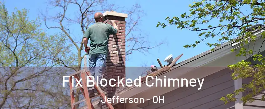 Fix Blocked Chimney Jefferson - OH
