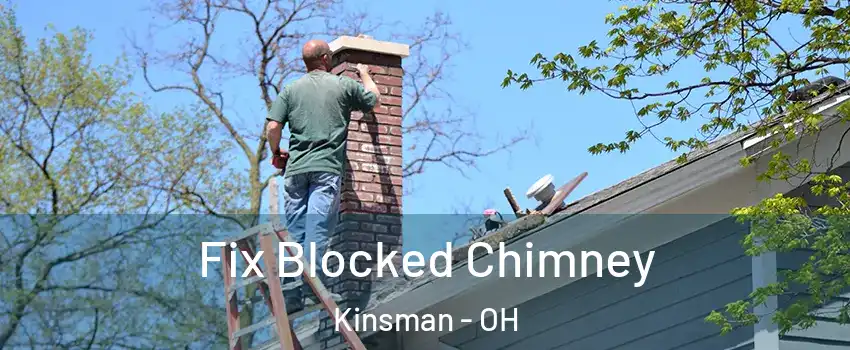 Fix Blocked Chimney Kinsman - OH