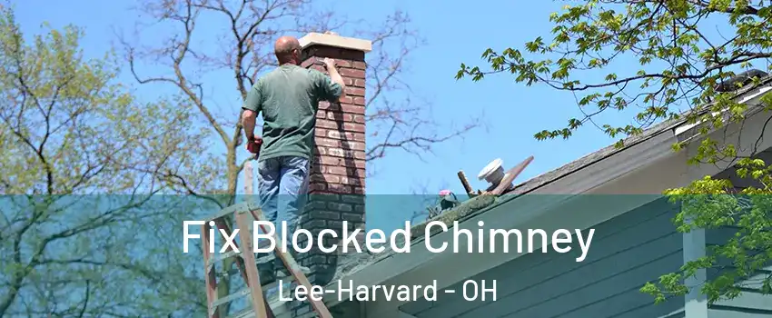 Fix Blocked Chimney Lee-Harvard - OH