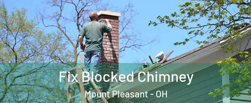 Fix Blocked Chimney Mount Pleasant - OH