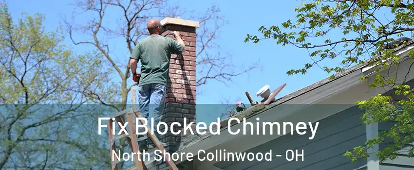 Fix Blocked Chimney North Shore Collinwood - OH