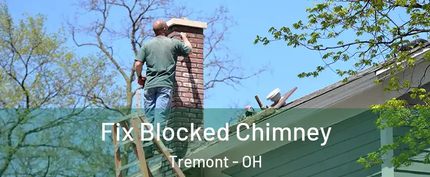 Fix Blocked Chimney Tremont - OH