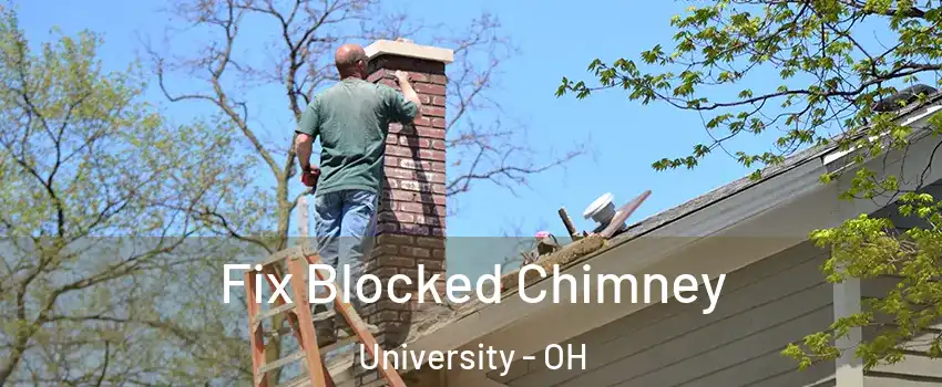 Fix Blocked Chimney University - OH